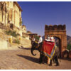21 Nights North & South India Highlights - Image 5
