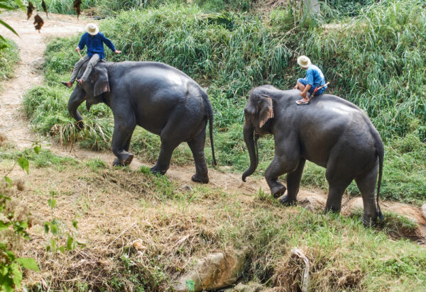 Nepal Tourist Places