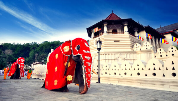 Sri Lanka Package