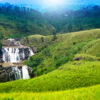 Sri Lanka Package