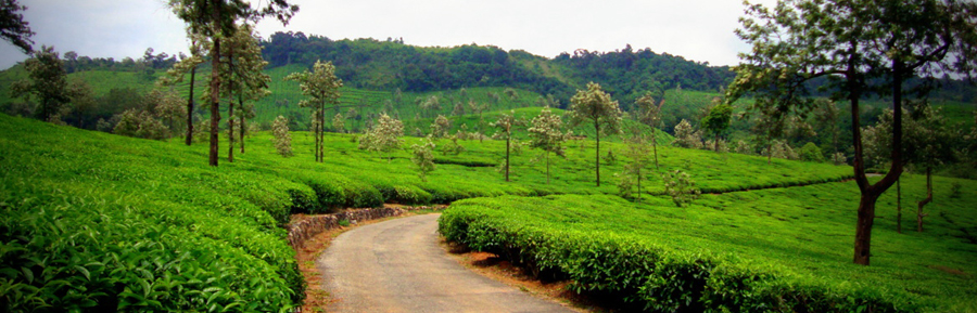 Cycling in South India - Image 2
