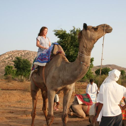 Classical Rajasthan - Image 4