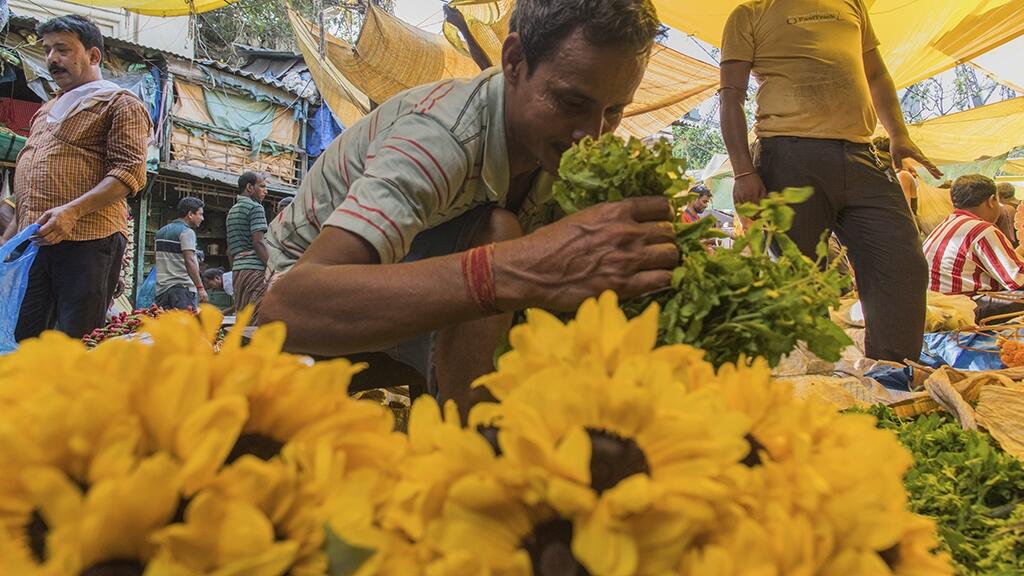 Kolkata short experience - Image 3