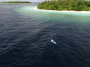 Maldives - Image 3