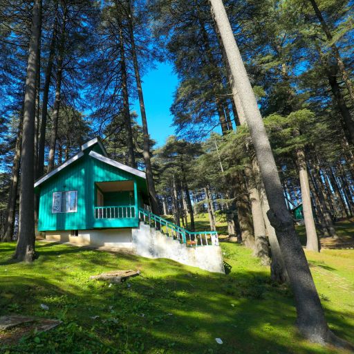 Short Trip showcasing Kashmir Highlights - Image 3