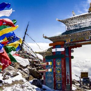 North East Extensive