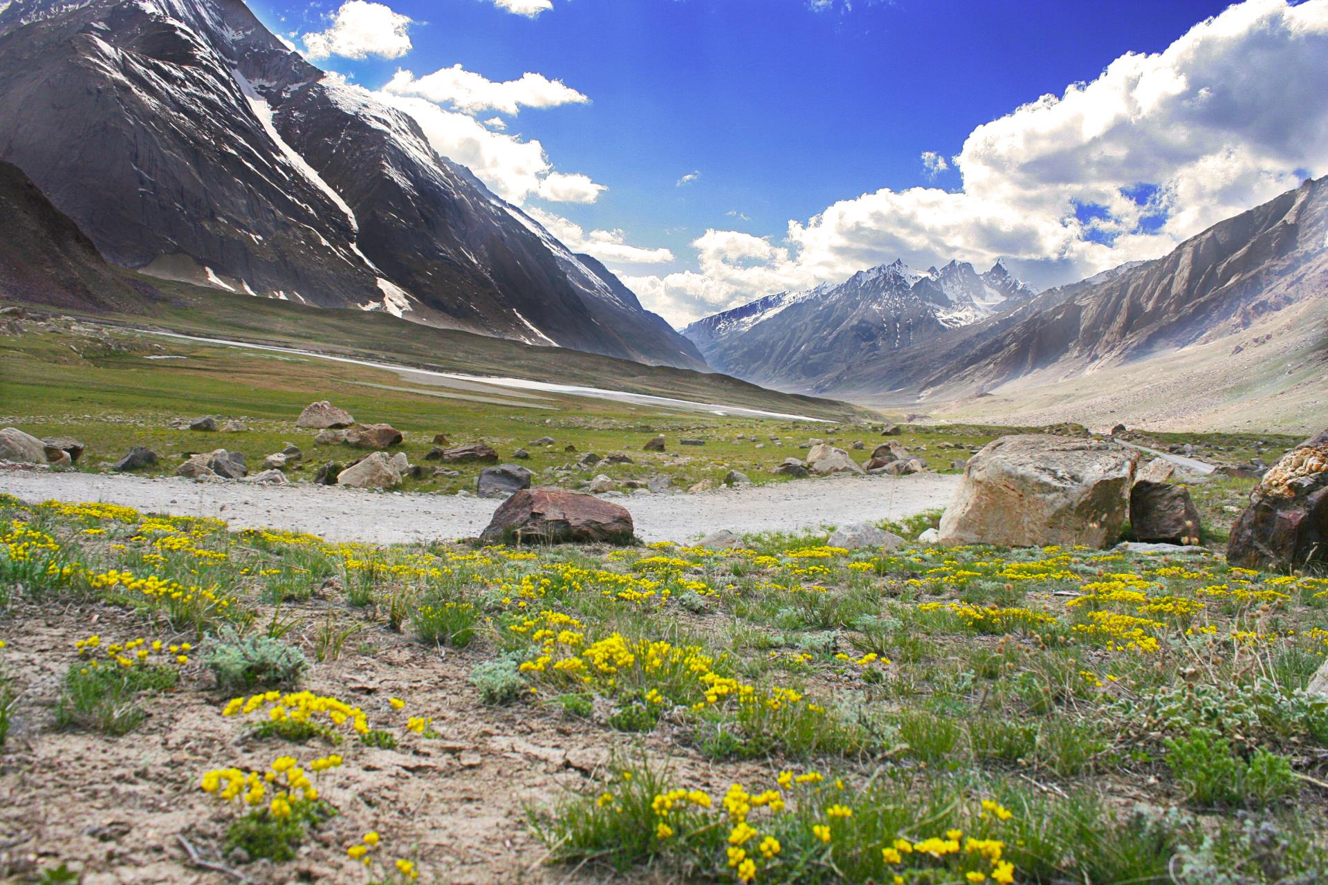 Lahaul Spiti valley & Leh - Image 2