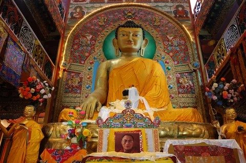 Buddhist Heritage Tour India Buddhist pilgrimage sites